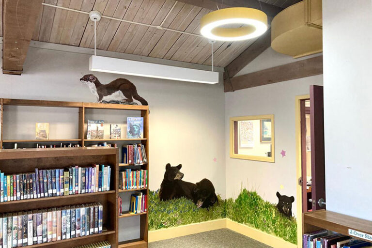 Saranac Lake Free Library just for kids area 768x512