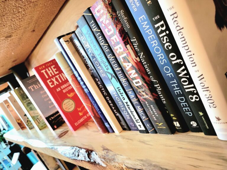 Book Nook 02 768x576