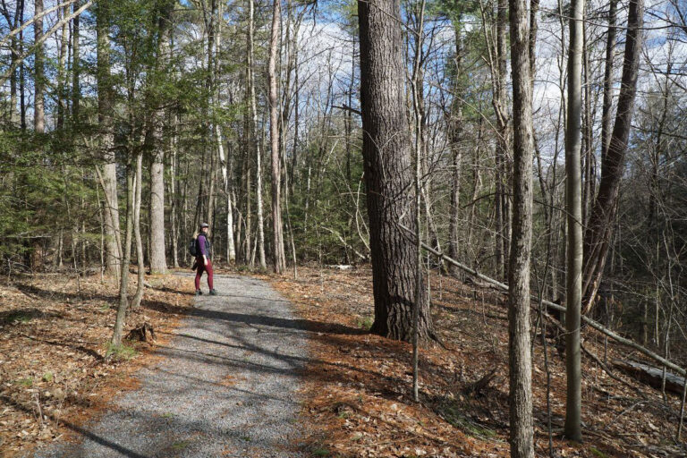 The Nature Conservancy Boquet River Nature Preserve 02 768x512