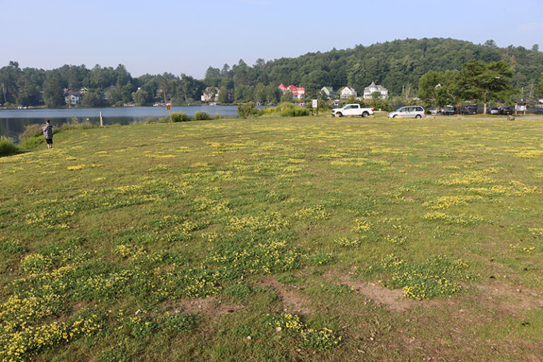 Prescott Park 2 768x512