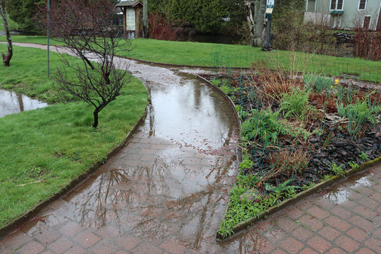Saranac Lake Riverwalk 33 768x512