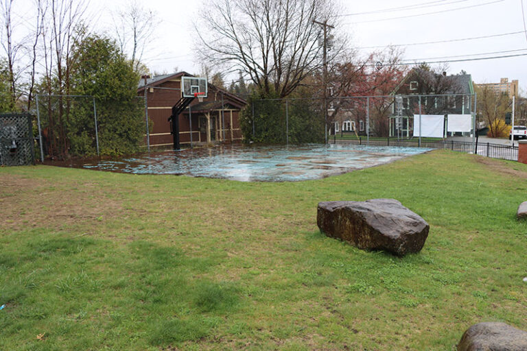 William Morris Park 8 768x512